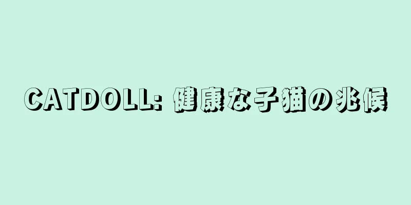 CATDOLL: 健康な子猫の兆候