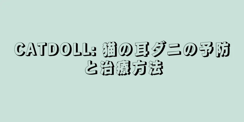 CATDOLL: 猫の耳ダニの予防と治療方法