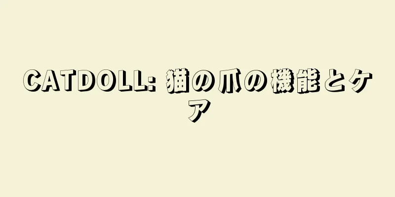 CATDOLL: 猫の爪の機能とケア