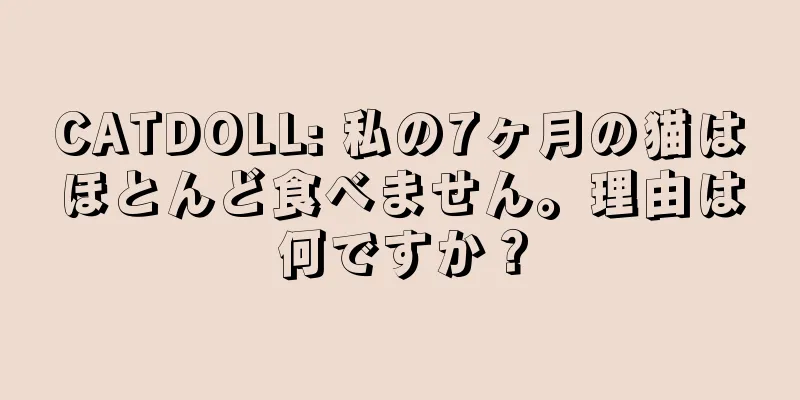 CATDOLL: 私の7ヶ月の猫はほとんど食べません。理由は何ですか？