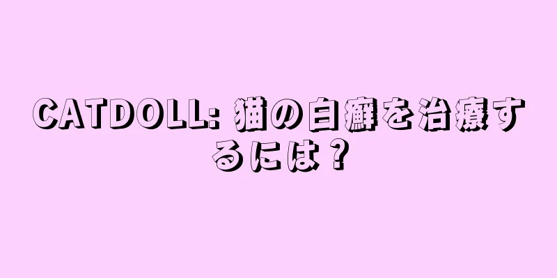 CATDOLL: 猫の白癬を治療するには？