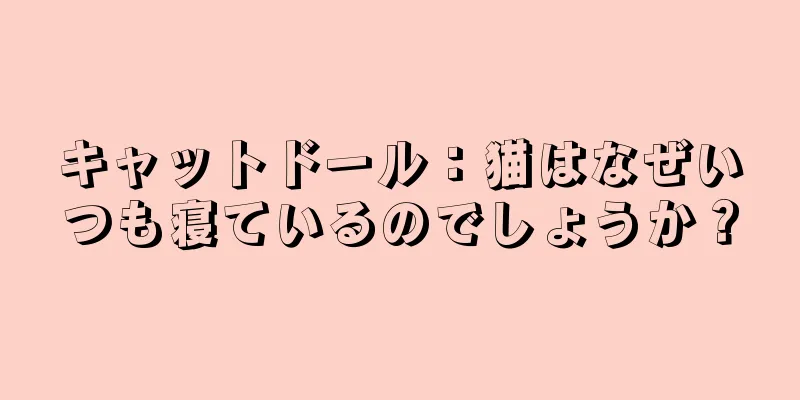 キャットドール：猫はなぜいつも寝ているのでしょうか？