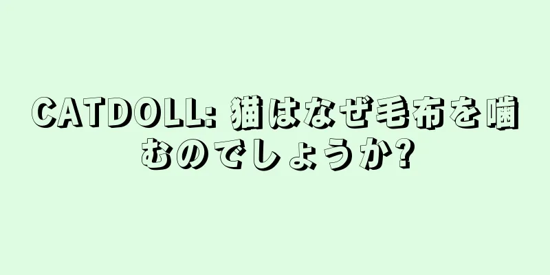 CATDOLL: 猫はなぜ毛布を噛むのでしょうか?