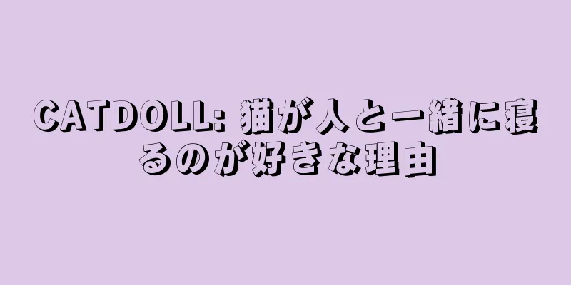 CATDOLL: 猫が人と一緒に寝るのが好きな理由