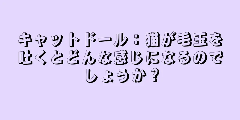 キャットドール：猫が毛玉を吐くとどんな感じになるのでしょうか？