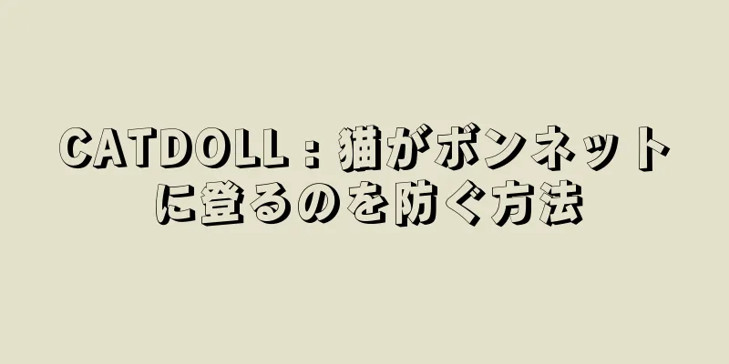 CATDOLL : 猫がボンネットに登るのを防ぐ方法