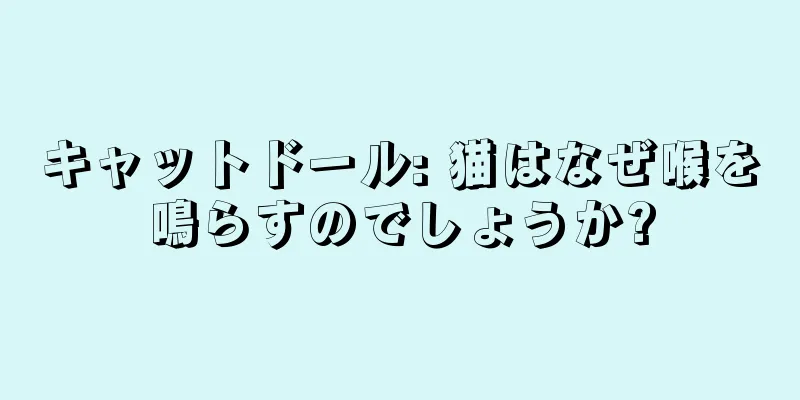 キャットドール: 猫はなぜ喉を鳴らすのでしょうか?