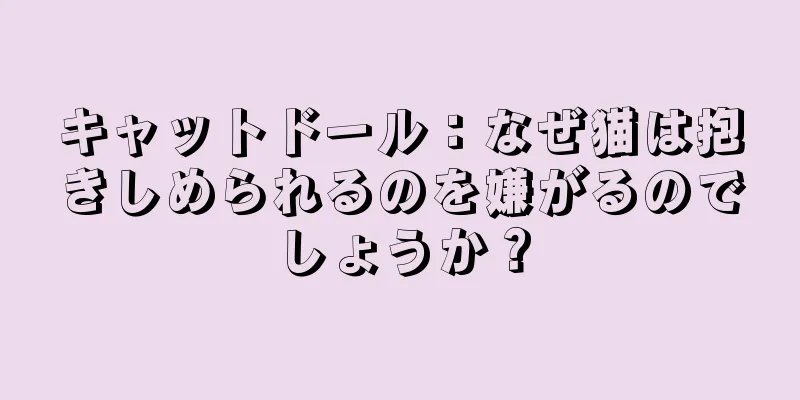 キャットドール：なぜ猫は抱きしめられるのを嫌がるのでしょうか？