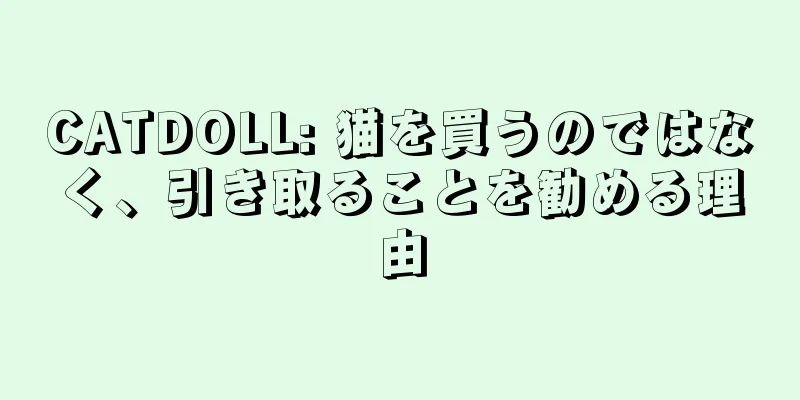 CATDOLL: 猫を買うのではなく、引き取ることを勧める理由