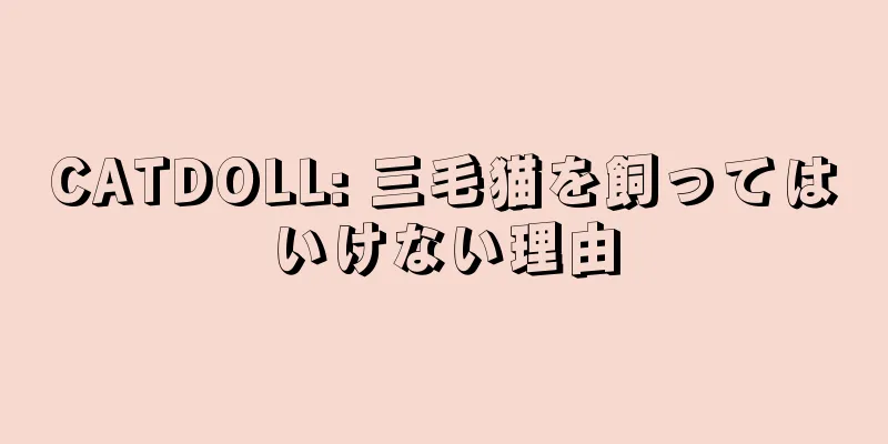 CATDOLL: 三毛猫を飼ってはいけない理由