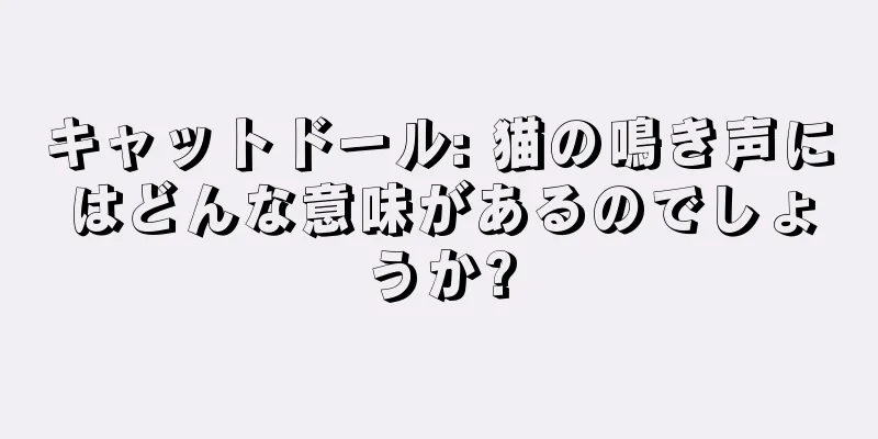 キャットドール: 猫の鳴き声にはどんな意味があるのでしょうか?