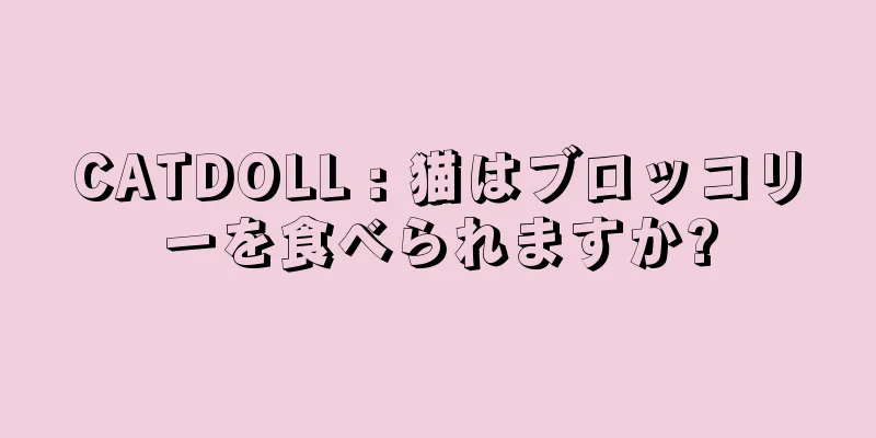 CATDOLL : 猫はブロッコリーを食べられますか?