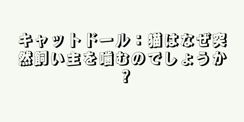 キャットドール：猫はなぜ突然飼い主を噛むのでしょうか？