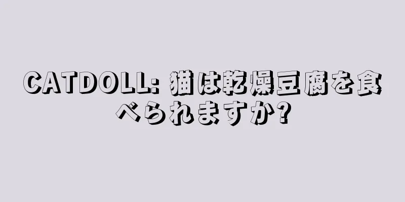 CATDOLL: 猫は乾燥豆腐を食べられますか?