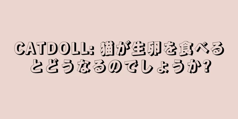 CATDOLL: 猫が生卵を食べるとどうなるのでしょうか?