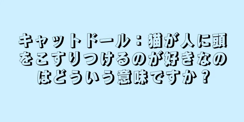 キャットドール：猫が人に頭をこすりつけるのが好きなのはどういう意味ですか？