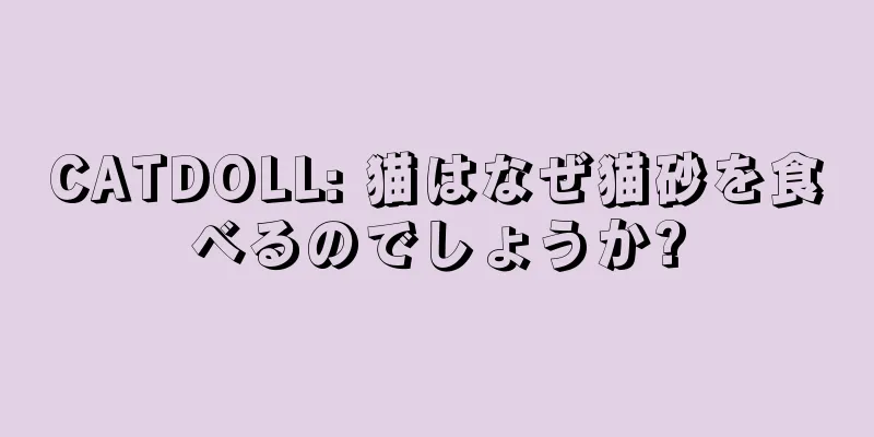 CATDOLL: 猫はなぜ猫砂を食べるのでしょうか?