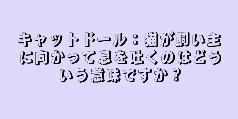 キャットドール：猫が飼い主に向かって息を吐くのはどういう意味ですか？