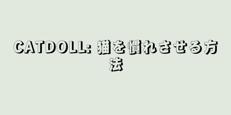 CATDOLL: 猫を慣れさせる方法