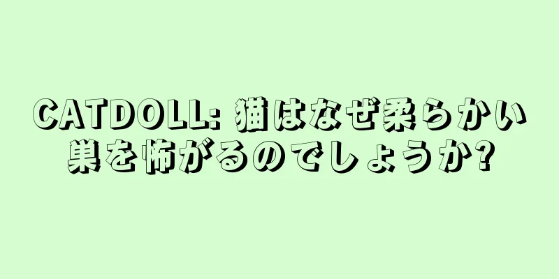CATDOLL: 猫はなぜ柔らかい巣を怖がるのでしょうか?