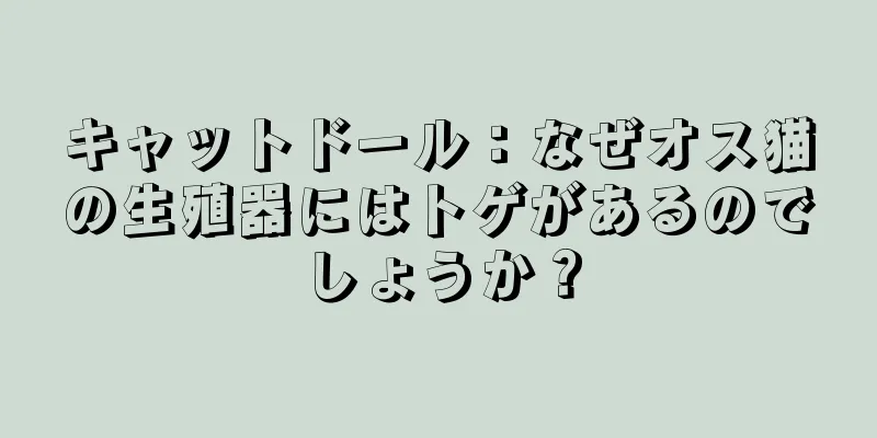 キャットドール：なぜオス猫の生殖器にはトゲがあるのでしょうか？