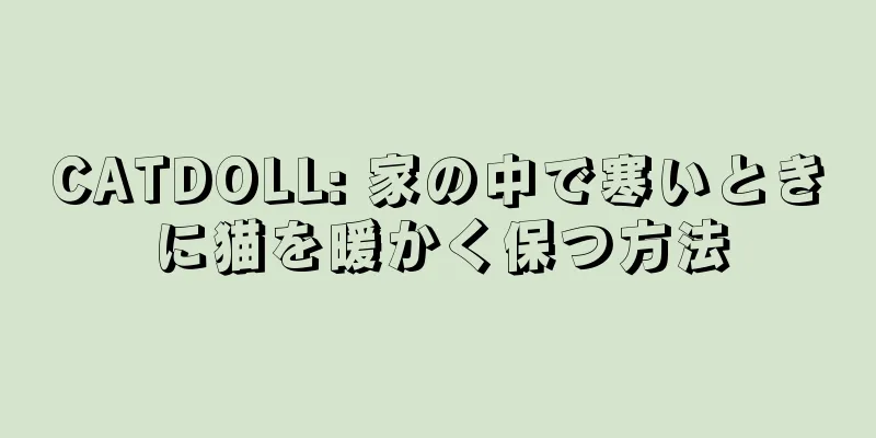 CATDOLL: 家の中で寒いときに猫を暖かく保つ方法
