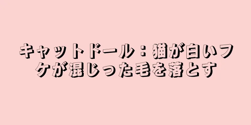 キャットドール：猫が白いフケが混じった毛を落とす