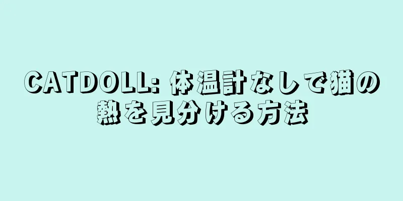 CATDOLL: 体温計なしで猫の熱を見分ける方法