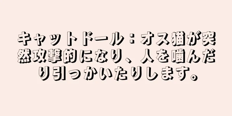キャットドール：オス猫が突然攻撃的になり、人を噛んだり引っかいたりします。