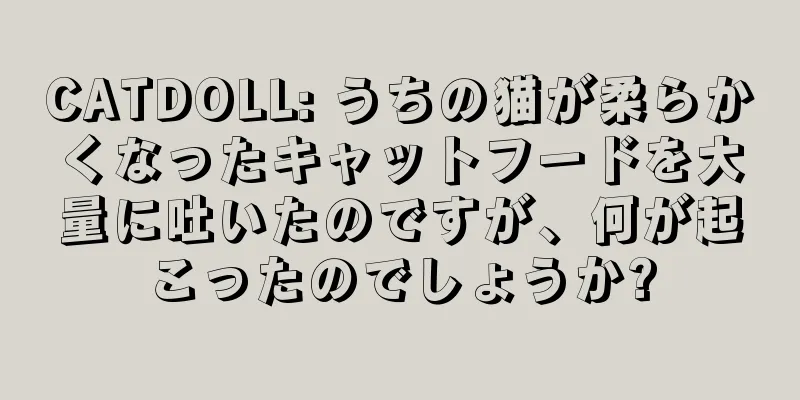 CATDOLL: うちの猫が柔らかくなったキャットフードを大量に吐いたのですが、何が起こったのでしょうか?