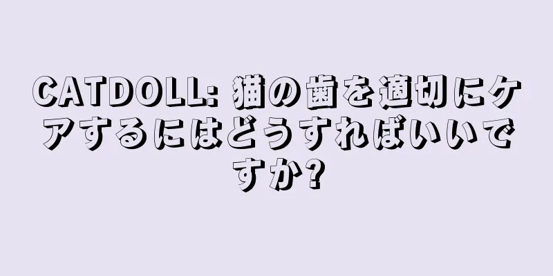 CATDOLL: 猫の歯を適切にケアするにはどうすればいいですか?