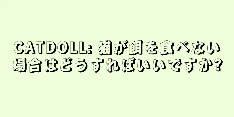 CATDOLL: 猫が餌を食べない場合はどうすればいいですか?
