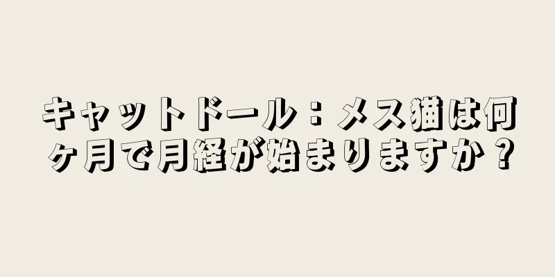 キャットドール：メス猫は何ヶ月で月経が始まりますか？