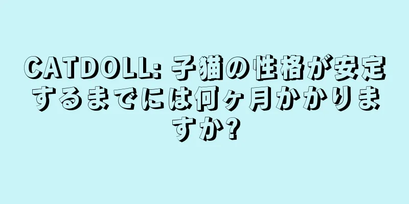 CATDOLL: 子猫の性格が安定するまでには何ヶ月かかりますか?