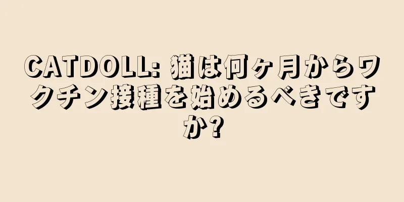 CATDOLL: 猫は何ヶ月からワクチン接種を始めるべきですか?