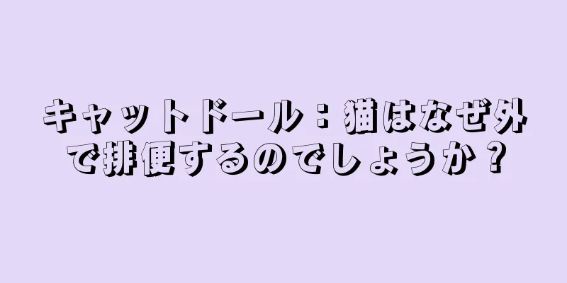 キャットドール：猫はなぜ外で排便するのでしょうか？