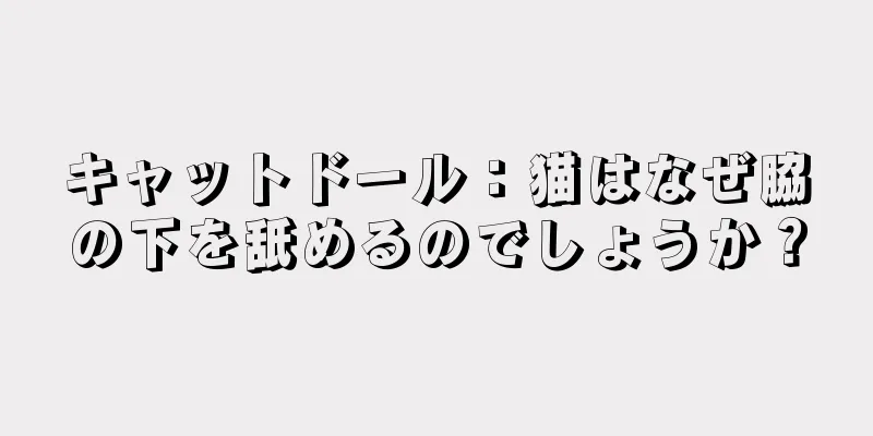 キャットドール：猫はなぜ脇の下を舐めるのでしょうか？