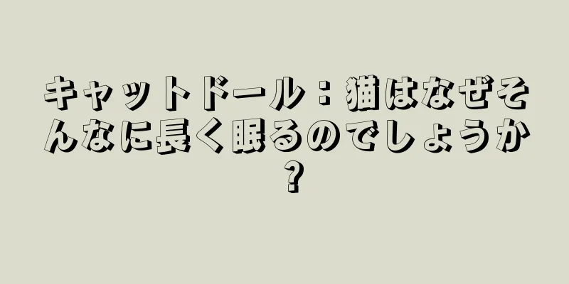 キャットドール：猫はなぜそんなに長く眠るのでしょうか？