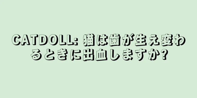 CATDOLL: 猫は歯が生え変わるときに出血しますか?