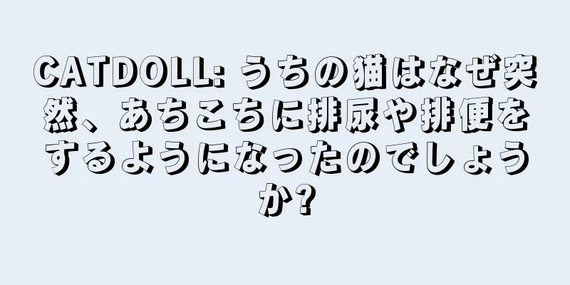CATDOLL: うちの猫はなぜ突然、あちこちに排尿や排便をするようになったのでしょうか?