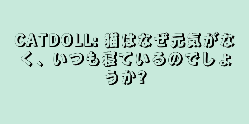 CATDOLL: 猫はなぜ元気がなく、いつも寝ているのでしょうか?