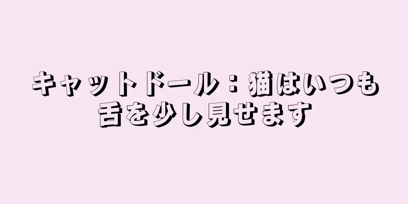 キャットドール：猫はいつも舌を少し見せます