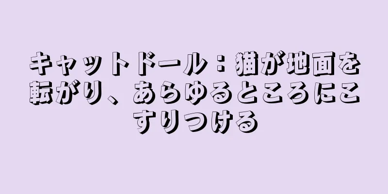 キャットドール：猫が地面を転がり、あらゆるところにこすりつける