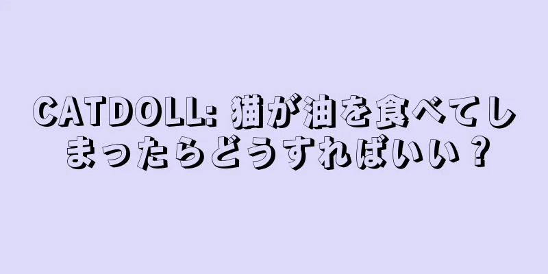 CATDOLL: 猫が油を食べてしまったらどうすればいい？