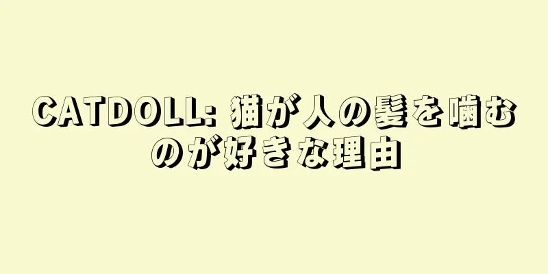 CATDOLL: 猫が人の髪を噛むのが好きな理由