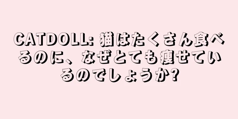 CATDOLL: 猫はたくさん食べるのに、なぜとても痩せているのでしょうか?
