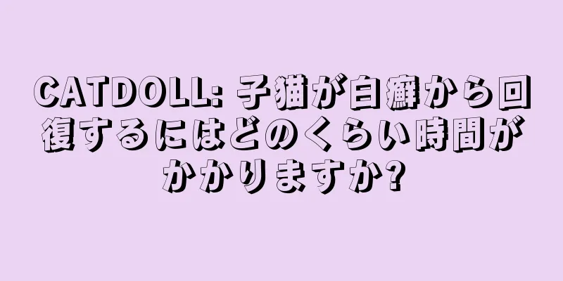 CATDOLL: 子猫が白癬から回復するにはどのくらい時間がかかりますか?