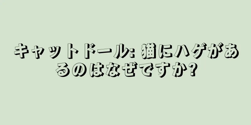 キャットドール: 猫にハゲがあるのはなぜですか?
