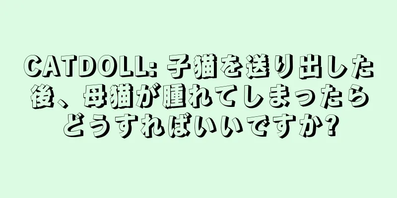 CATDOLL: 子猫を送り出した後、母猫が腫れてしまったらどうすればいいですか?
