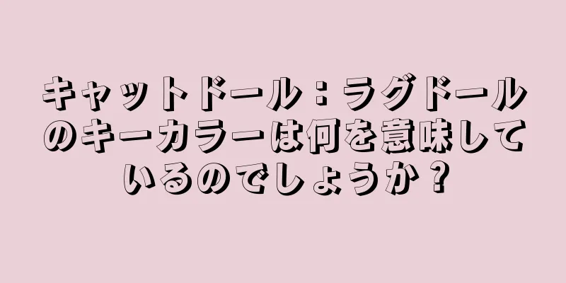 キャットドール：ラグドールのキーカラーは何を意味しているのでしょうか？